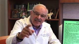WHAT IS THE RELATION BETWEEN PLANT FOODS AND MICROBIOME?