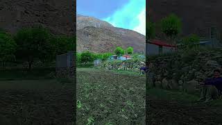 #villagebeuty #mountain villagelife #mountainlifestyle