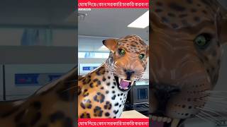 ঘুষ দিয়ে কোন চাকরি করব না #shorts #entertainment #popular #viral #fast Abir Hassan #shortsfeed