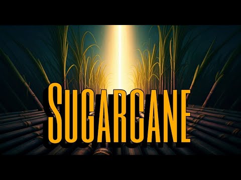 Discover the Amazing Uses of Sugarcane