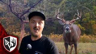 Building A Better Mock Scrape & Rub Tree!
