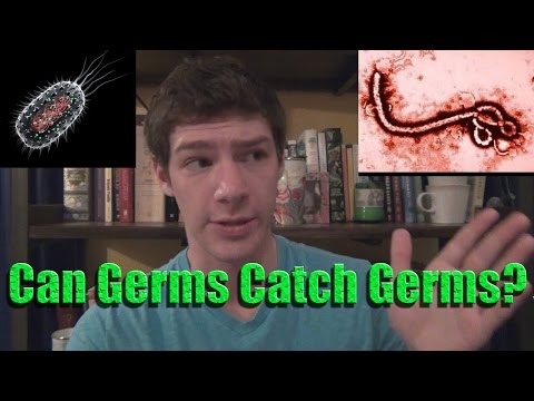 Can Germs Catch Germs?