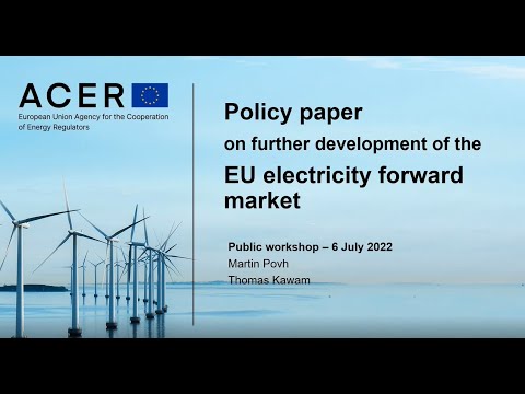 Policy paper on further development of the EU electricity forward market