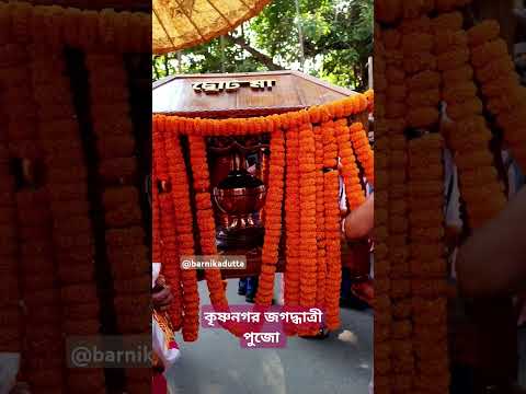 CHOTO MAA ❣️ KRISHNAGAR jagatdhatri pujo 2024 🔥. #viralshorts #krishnanagar  #pujo #youtubeshorts