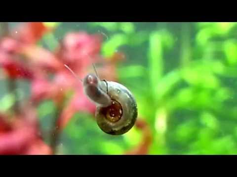 20130422_134800