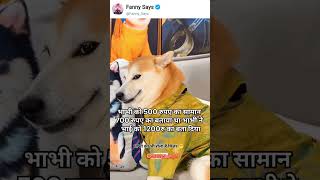#memeshorts #funnydog #fannyvideo #meme #desiwedding #shaadimeme