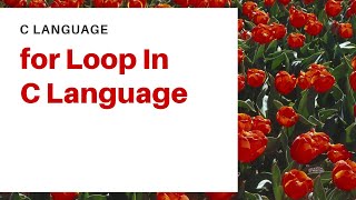 for loops In C Language