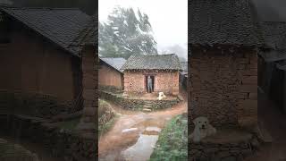 Rain Sounds for Sleeping Heavy Rain and Thunderstorm Sounds for Sleeping #rain #rainsounds