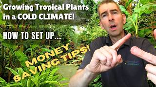 Growing Tropical Plants in Cold Climates - how to set yourself up...