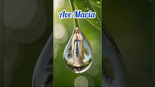 Struggling to Return to God? Beloved Mother Mary Will Never Leave You Lost
