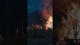 Days Gone moments in less than 60 seconds #LaughOutLoudGaming, #DaysGoneLaughs