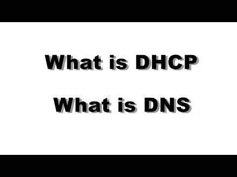 Explain About DHCP and DNS !! In Hindi ||