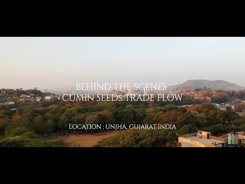 Behind the Scenes | Cumin Processing Facility Powering Our Supply Chain from India to Central Asia