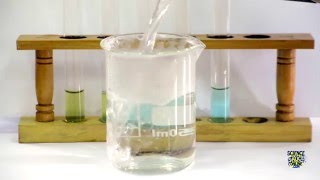 Food Tests - Iodine, Biuret, Benedict's, Ethanol, DCPIP