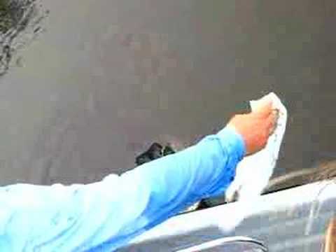 Exploring the Everglades