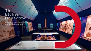 A charity-focused I.T. strategy for cost saving efficiencies | Enhanced