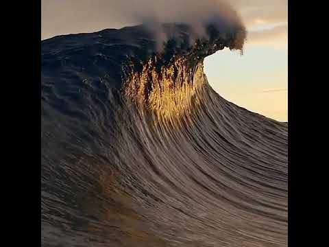 Poetry in motion...