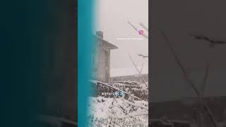 Barf |nhi pyar brsta hai| #ytshort #snow #mountainlifestyle #ytshorts #shortsindia #shorts #short