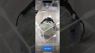 Smart 3D Scan iOS app / 3D Object Capture bounding box