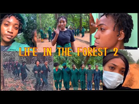 *UNI diaries #7* : Stuck in the Forest for my internship 🌳🌴||Part 2||Vlogmas ✨#univlogs 🌲