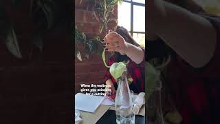 Have you ever asked? 😂 #plantmom #houseplants #propagation #garden #easygrowing