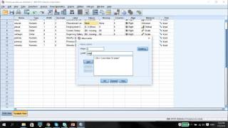 SPSS Vid6 Data Transformation Quantitative Variable