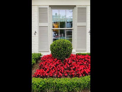 The Potted Boxwood: Beyond The Listing Home Tour with Dallas Real Estate Agent Meredith Ferrell