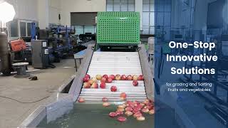 APPLE GRADING MACHINE VISHVKARMA MB NO +919896091276
