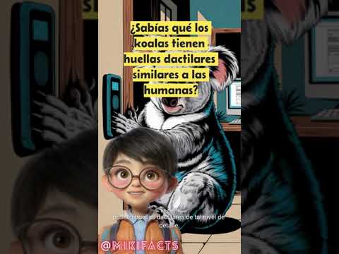 #CuriosidadesdelaNaturaleza#KoalasyHuellasHumanas