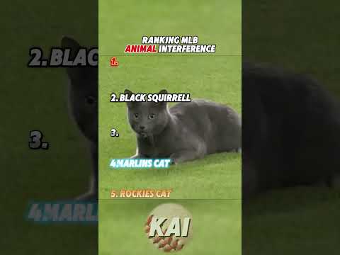 Ranking MLB Animal Interference