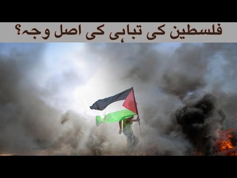 Palestine ki tabahi ki asal wajah | kya 1 philosopher is ka zimadar ha?