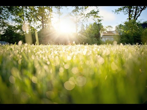 Morning Music➤Positive Energy Morning Meditation Music➤Wake Up Morning Music➤Good Morning