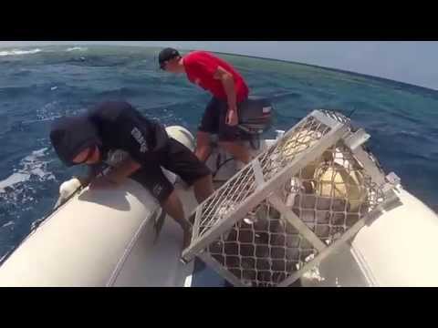 26th - 30th September 2014 - Coral Sea Movie