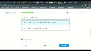 02 Styling Techniques| Introduction to CSS | sololearn