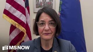 Rep. Balint: “This is the Epstein Administration.”