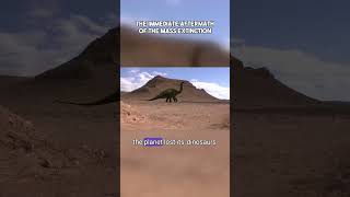 The Immediate Aftermath of the Mass Extinction