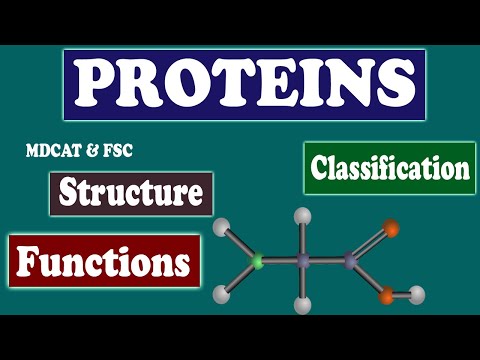 MDCAT Biology Proteins |Types of Proteins |Classification|Functions,Structures |Protein Nature |Tips