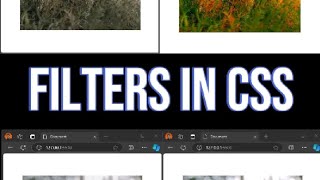 How to use filters in css