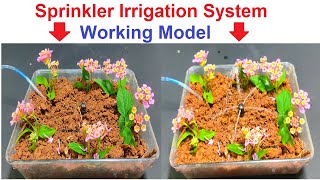 sprinkler irrigation system working model science project for exhibition  | syringes | DIY pandit