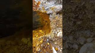 #goldenrock#goldfound#mountain#⛏️💰💛✨