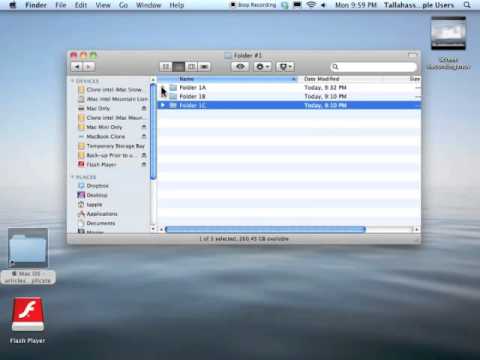 T Apple Tutorial Revealing SubFolders And Contents