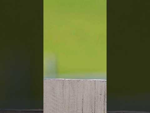 mizanur rahman waj..haming bird..#viral_video #waz  #viral_video #viral #bangladesh #banglawaz