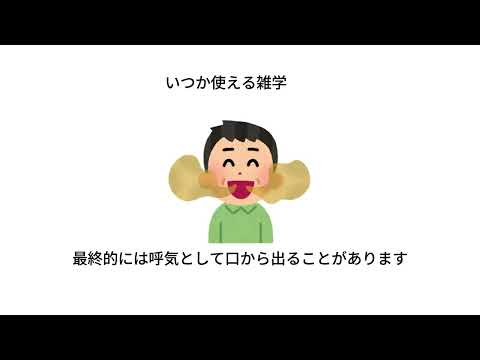 いつか使える雑学#2#雑学
