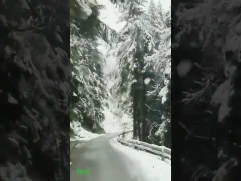Snow in Kashmir