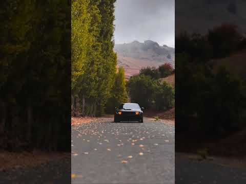 The Iconic Muscle Car: The Dodge Challenger