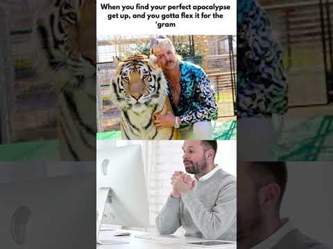 #ITMemes: Laugh-Out-Loud Moments in IT #Shorts 14