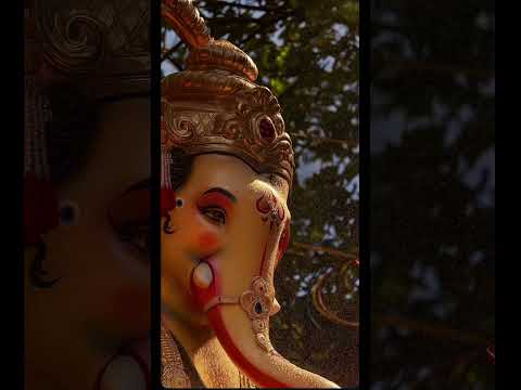 #bappamajha #bappamorya #bappa #love #shorts #virl #youtube #trending #mumbaicharaja #bappamorya2025