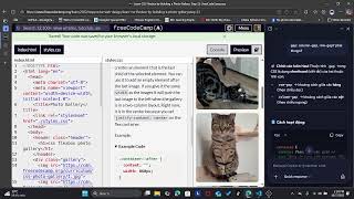 FreeCodeCamp HTML CSS Journey (Project 1) 2.4