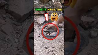 Treasure Hunter Finds Ancient Gold  😱💰 #metaldetecting #gold