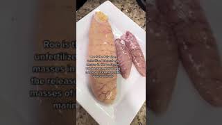 #shorts ocean to table - cooking cobia fish roe with pasta